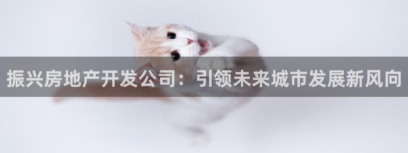 万向娱乐平台代理多少钱一年