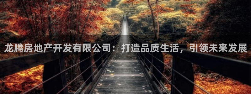 万向娱乐挂机软件