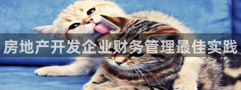 万向娱乐的494o3 主管