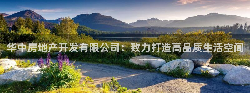 万向娱乐官网网址是什么