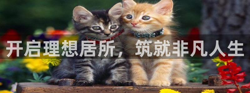 万向娱乐官网网址是什么