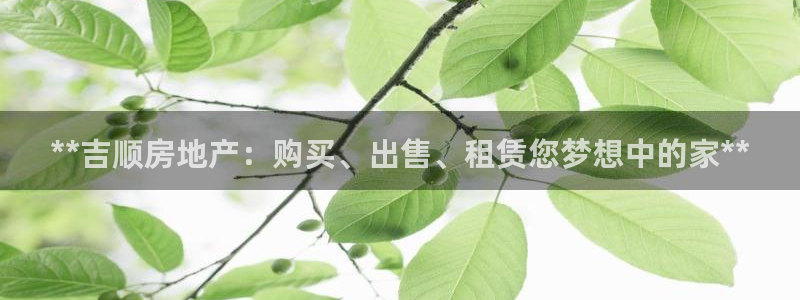 万向娱乐技术