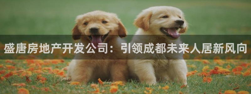 万向娱乐平台下载安装手机版