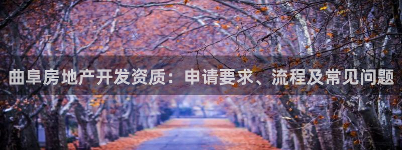 万向娱乐下载安装