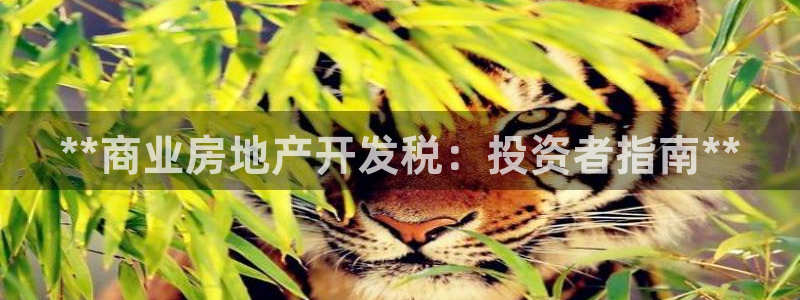 万向娱乐灯333OO