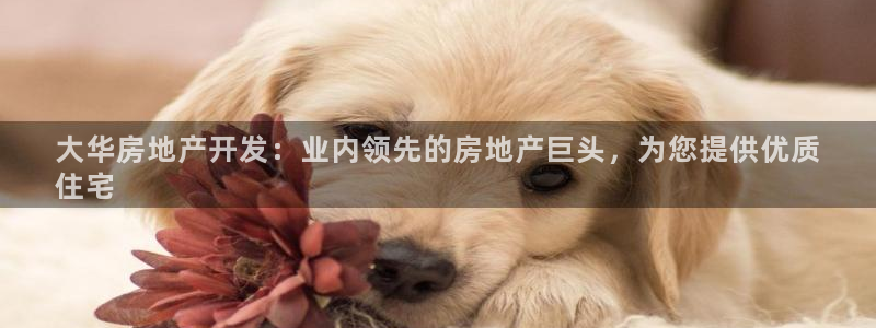 万向娱乐平台代理怎么做赚钱