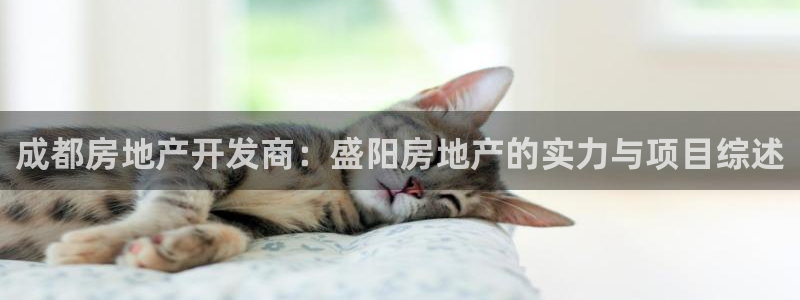 万向娱乐下载安装