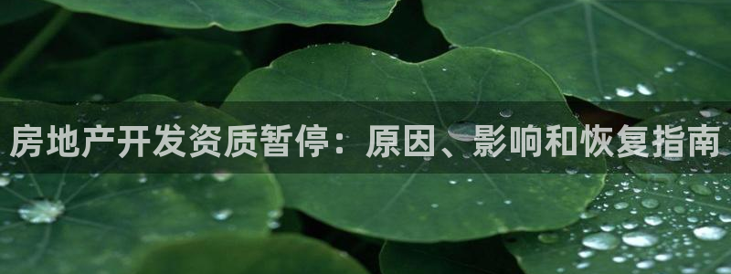 万向娱乐平台下载安装