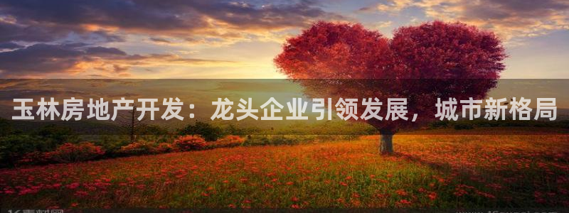 万向娱乐技术