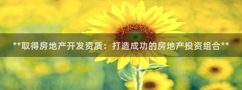万向娱乐