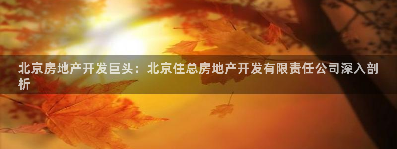 万向娱乐app