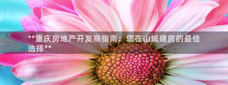 万向娱乐灯333OO