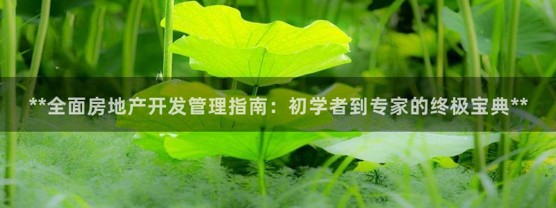 万向娱乐平台代理多少钱一个