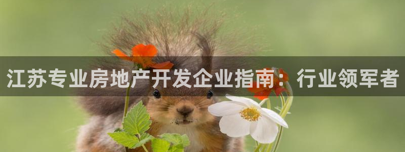 万向娱乐平台怎么下载
