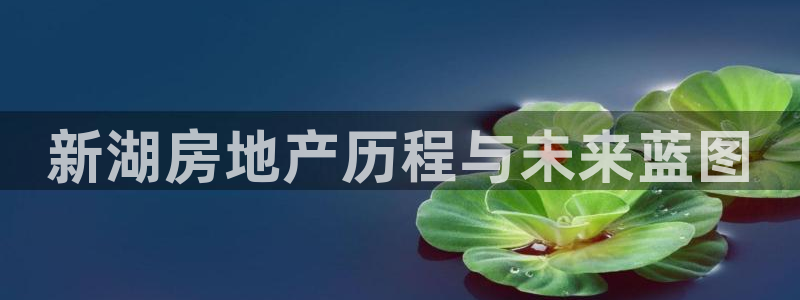 万向娱乐灯333OO