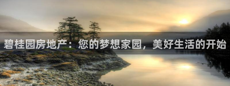 万向娱乐王者荣耀