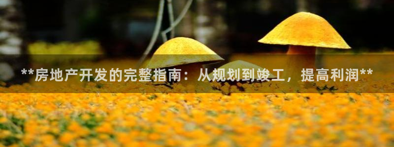 万向娱乐的494o3 主管