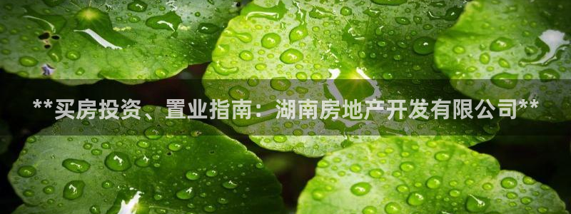 万向娱乐平台代理怎么做的