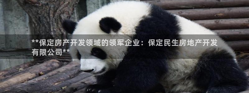 万向娱乐挂机