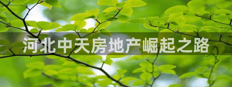 万向娱乐挂机软件