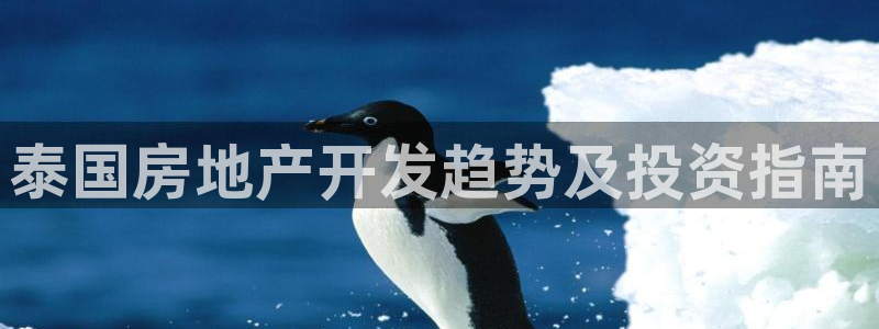 万向娱乐平台代理多少钱一个