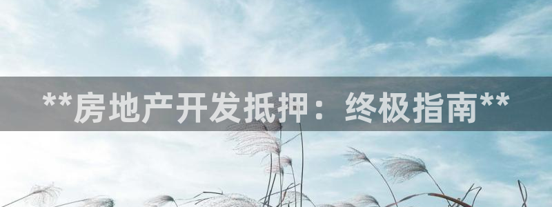 万向娱乐挂机软件
