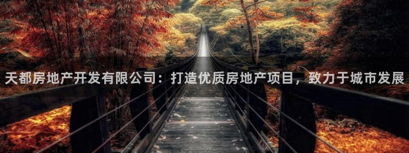 万向娱乐老板