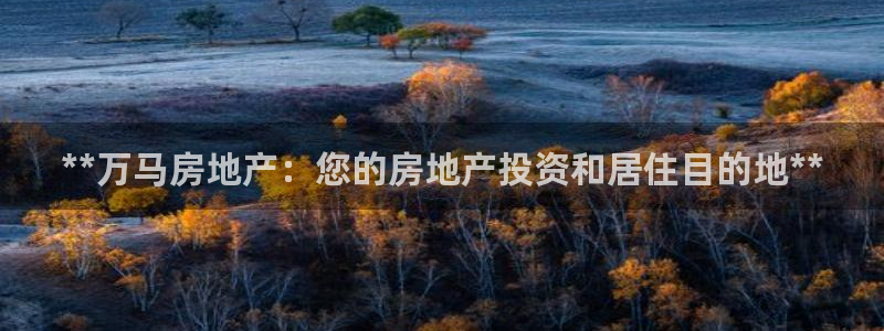 万向娱乐网址是什么