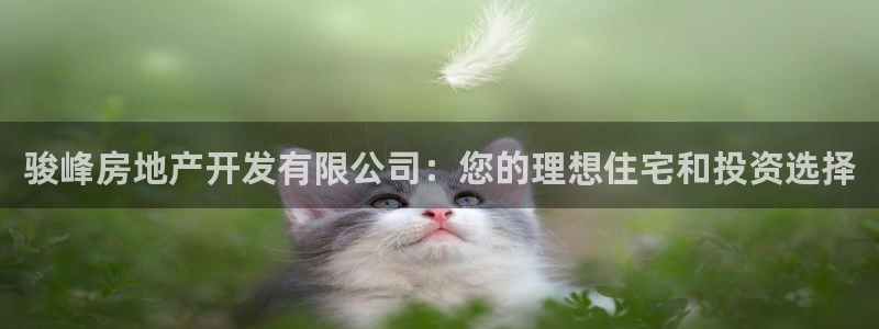 万向娱乐平台代理怎么做