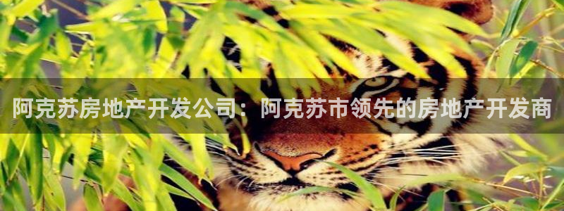 万向娱乐是野鸡台吗