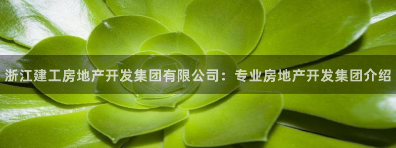 万向娱乐官网网址是多少