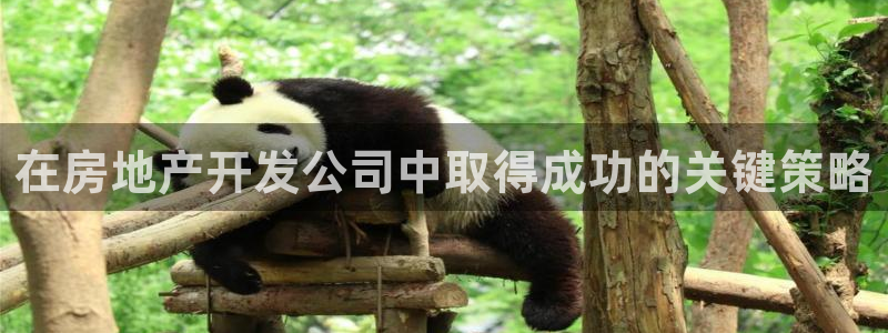 万向娱乐官网首页