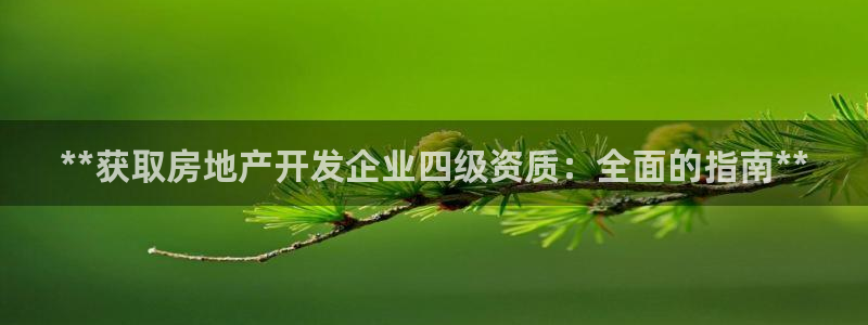 万向娱乐网址是什么