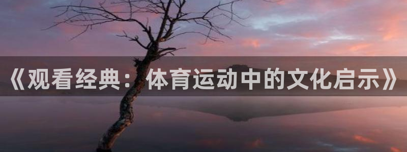 熊猫体育平台官网