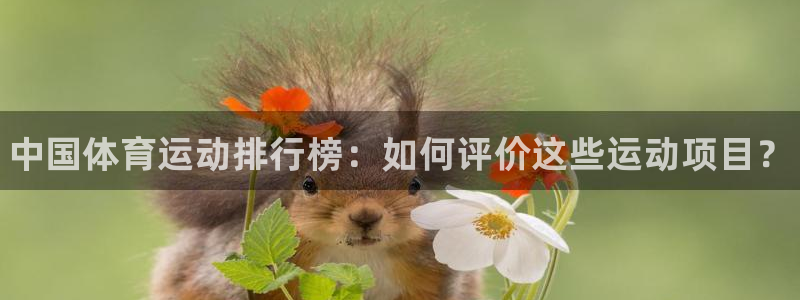 熊猫体育平台官网
