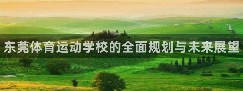 熊猫体育v3.新网页.org