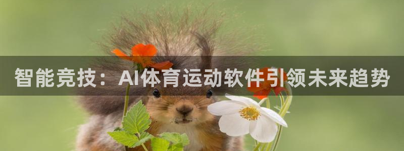 熊猫体育官网
