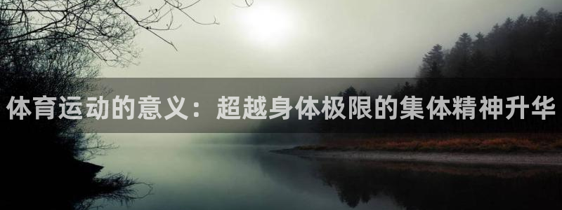 181熊猫体育