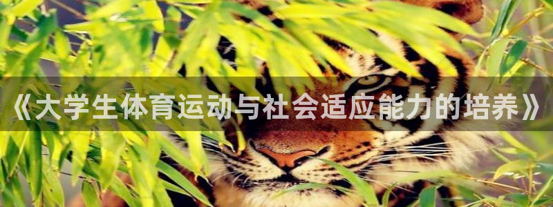 成都熊猫体育公园