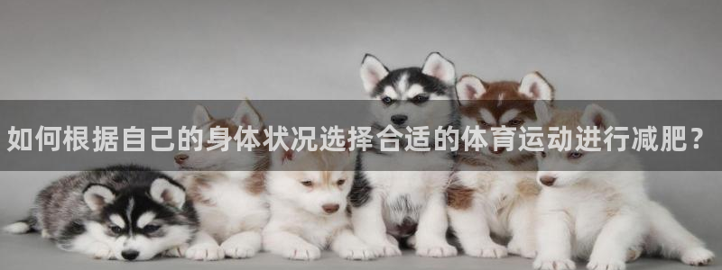 熊猫体育app官方入口