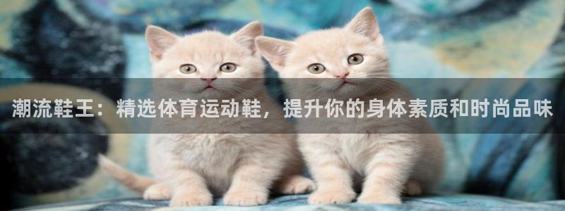 熊猫体育平台官网