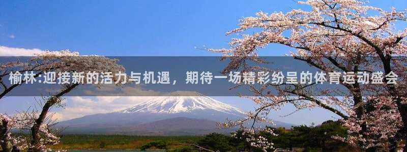 熊猫体育直播