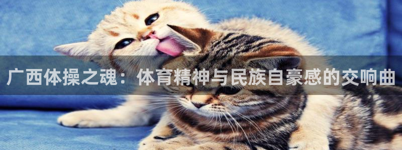熊猫体育sports