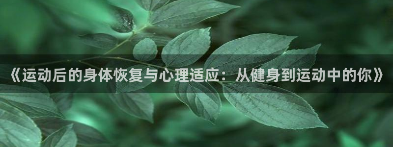 成都熊猫体育公园