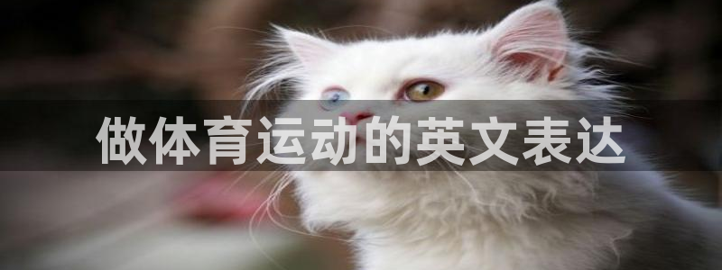 下载熊猫体育