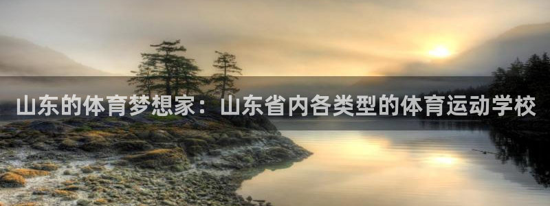 熊猫体育官网