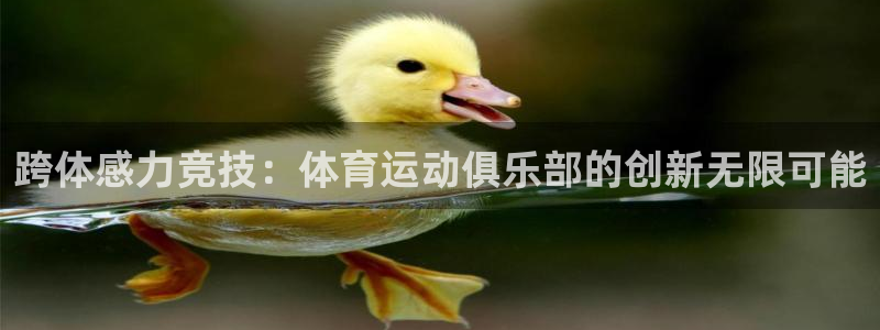 熊猫体育平台