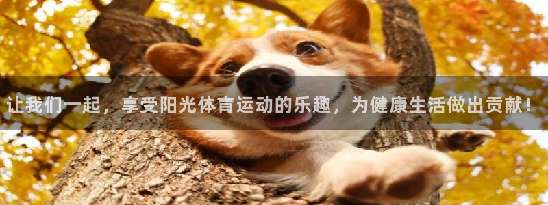 成都熊猫体育公园