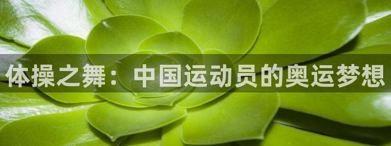 熊猫体育怎么样