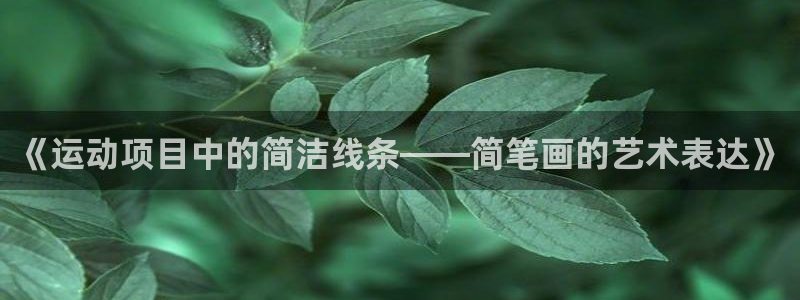熊猫体育直播nba